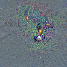 n02107312